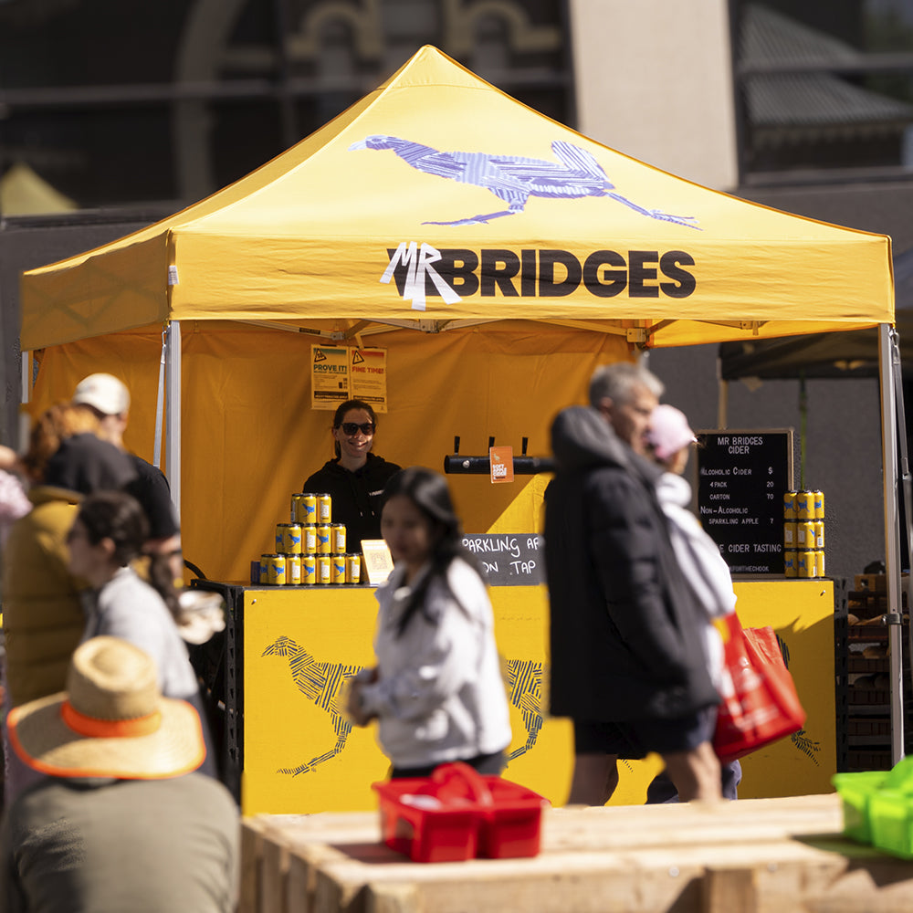 3m x 3m Printed Folding Marquee